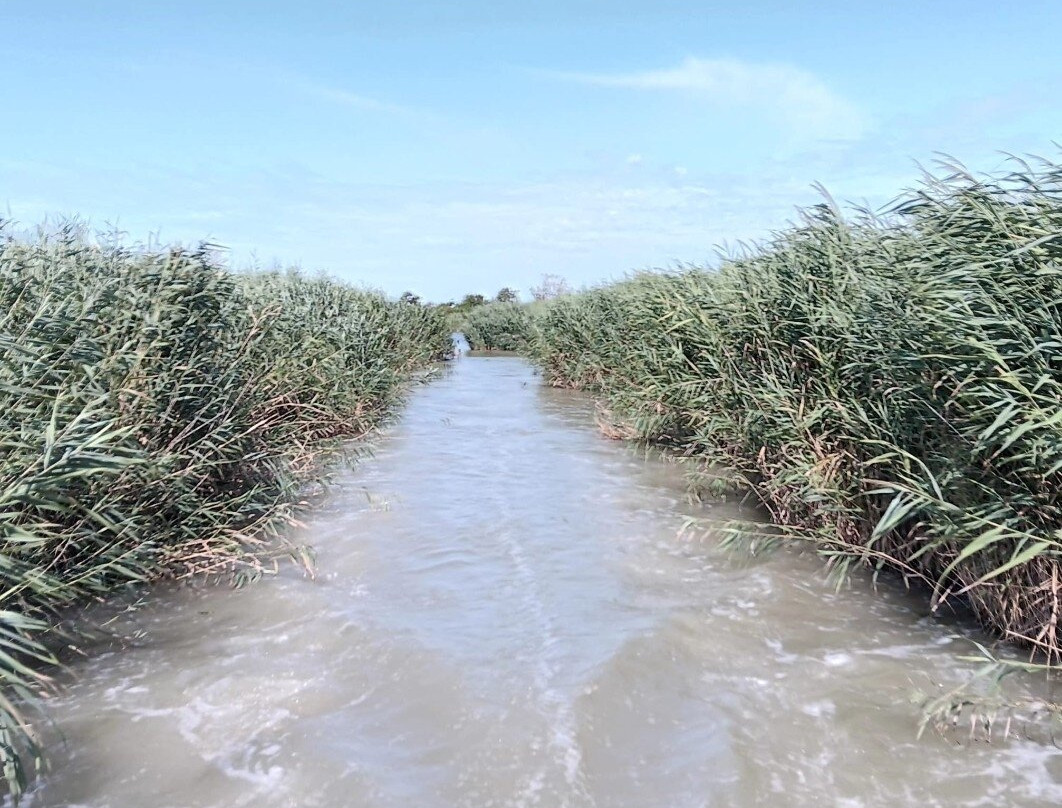 Parco Regionale Veneto del Delta del Po-Porto Tolle必去景点