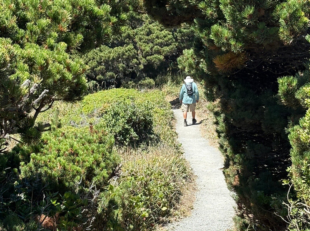 Port Orford Heads State Park-Port Orford必去景点