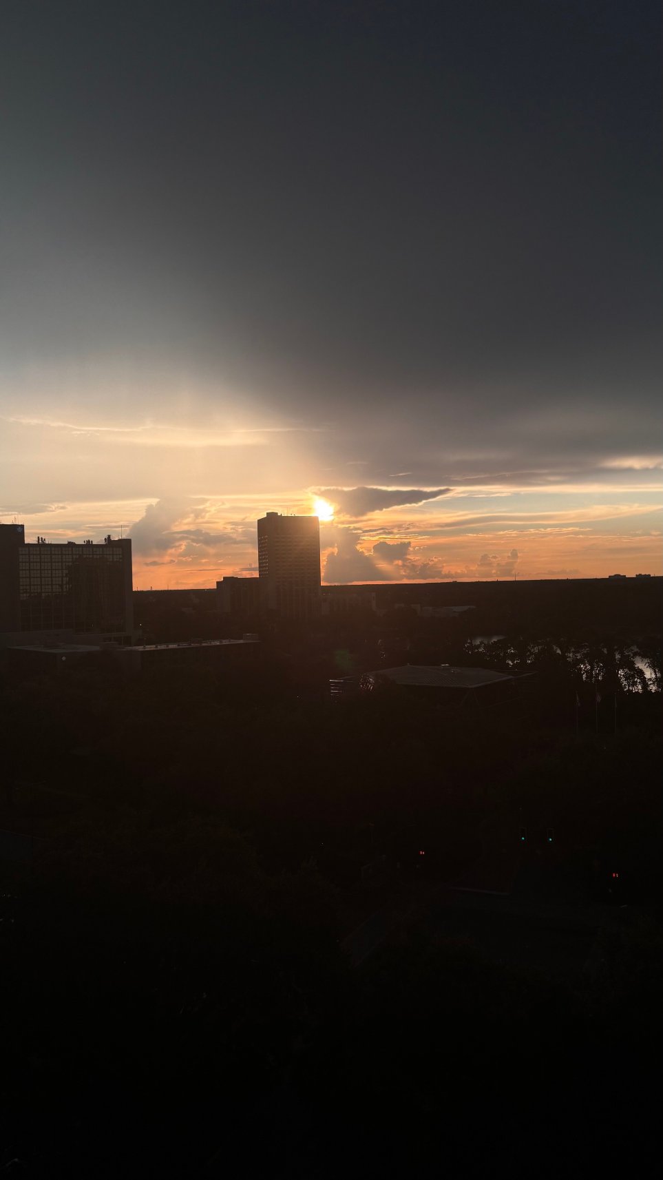 Holiday Inn Orlando – Disney Springs™ Area, an IHG Hotel-酒店景观