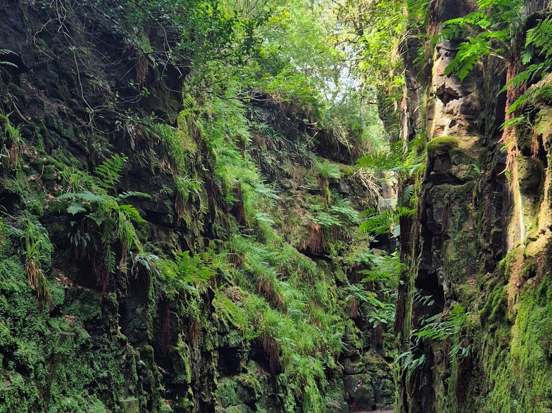 Lud's Church-null必去景点
