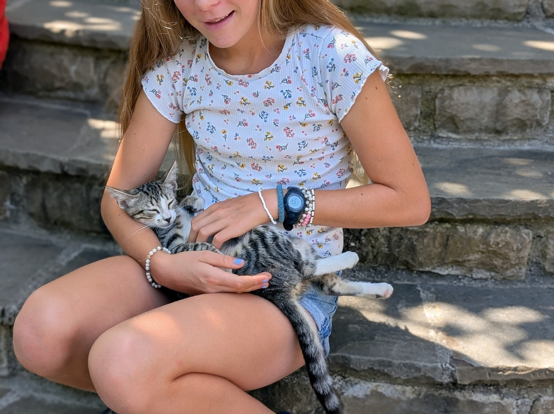 Chri Chri Guesthouse主图