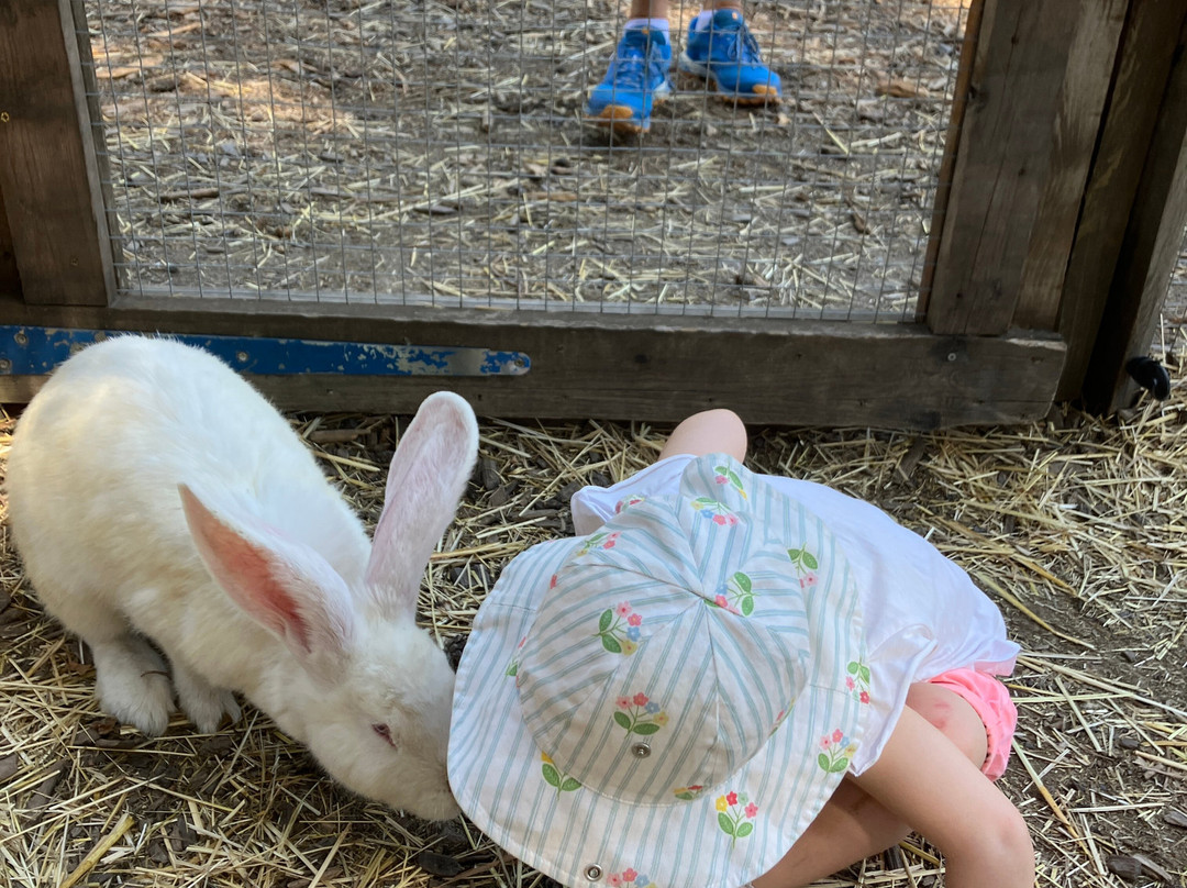 La Colline des Lutins-Le Vernet必去景点