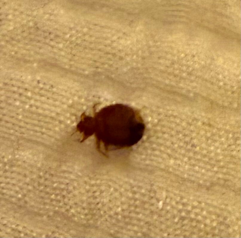 埃尔迈拉江景假日酒店主图