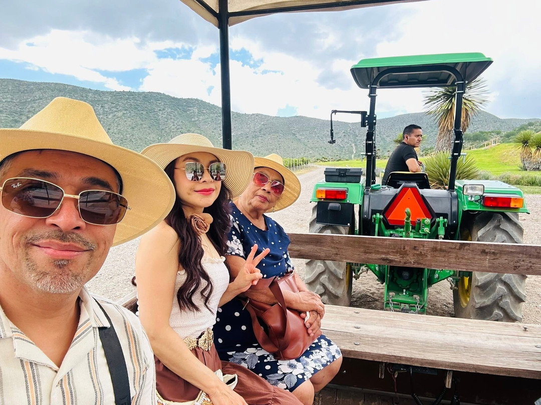 Vinedos Don Leo-Parras de la Fuente必去景点