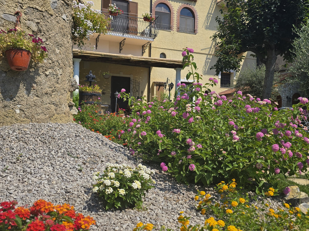 TraMonti DiVini主图