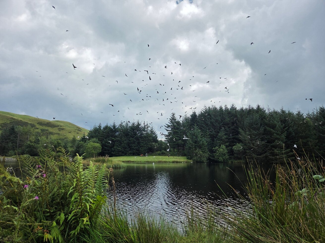 Bwlch Nant yr Arian Forest Visitor Centre-阿伯里斯特威斯必去景点