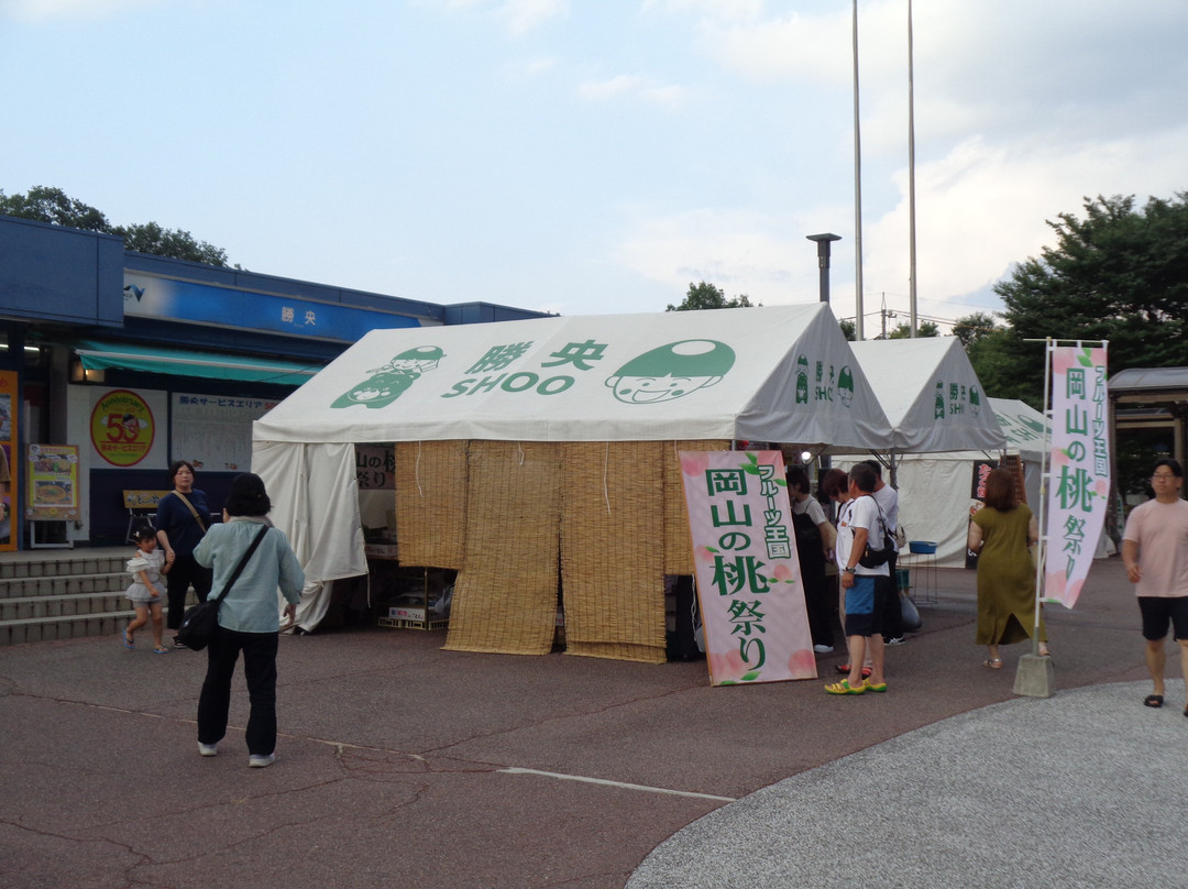 Shoo Service Area Inbound-胜央町必去景点