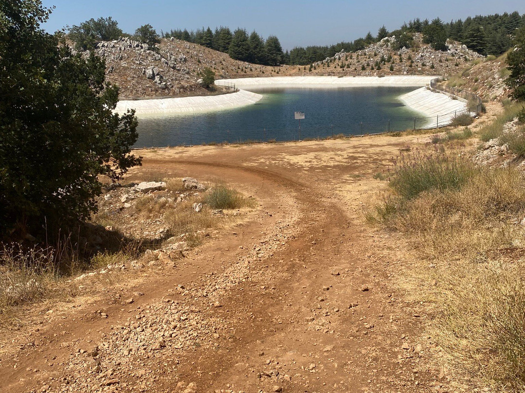 Shouf Cedars Reserve-Barouk必去景点