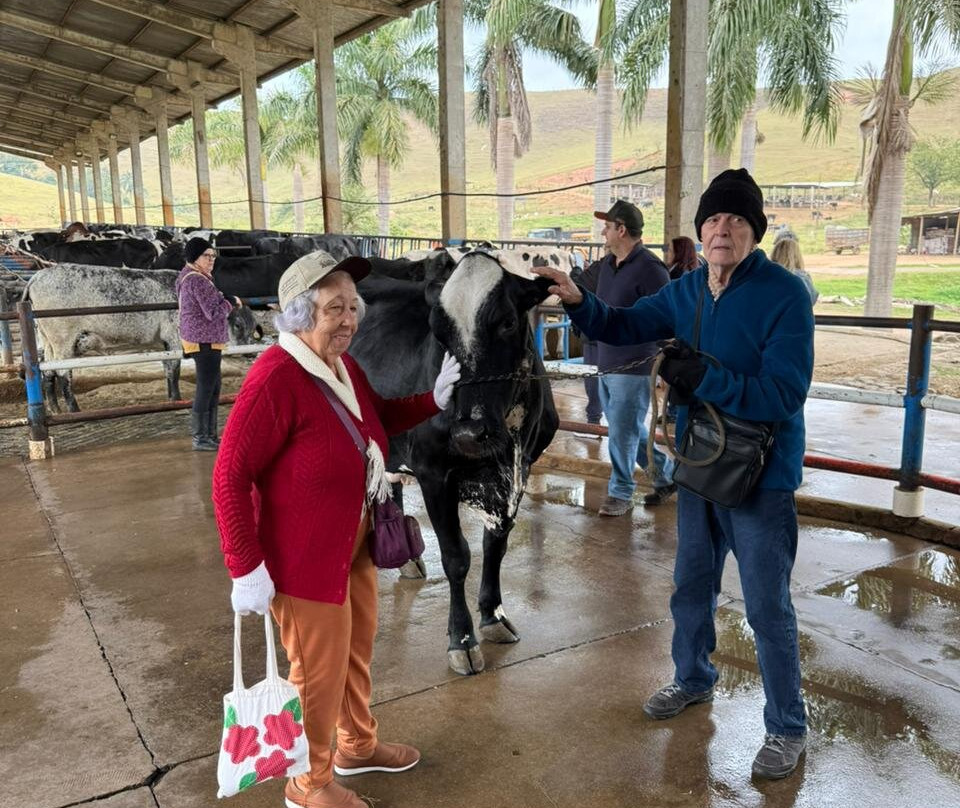 Zé Ferreira Tour-Areias必去景点