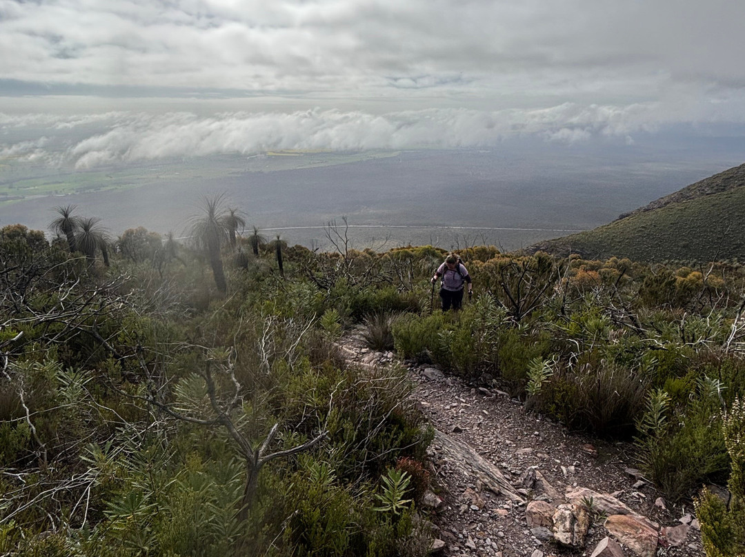 Mt Trio-Stirling Range National Park必去景点