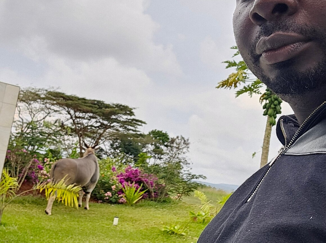 Vipingo Ridge-Kilifi必去景点