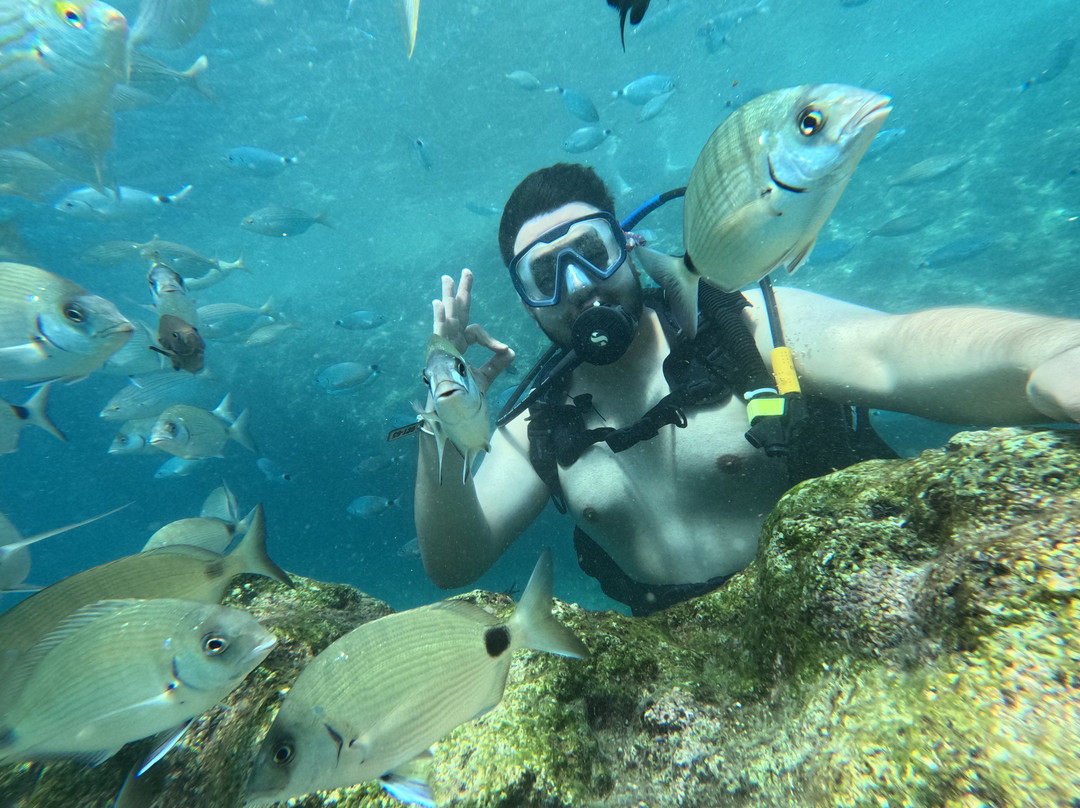 Octopus Diving Center-凯梅尔必去景点