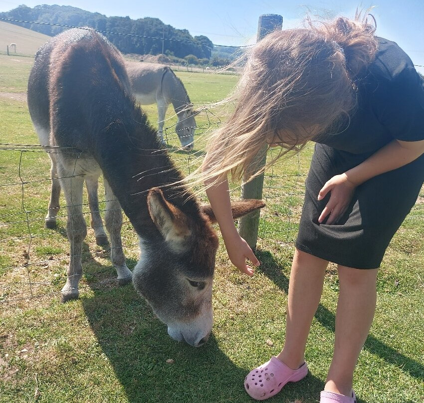 Hillside Animal Sanctuary-Frettenham必去景点