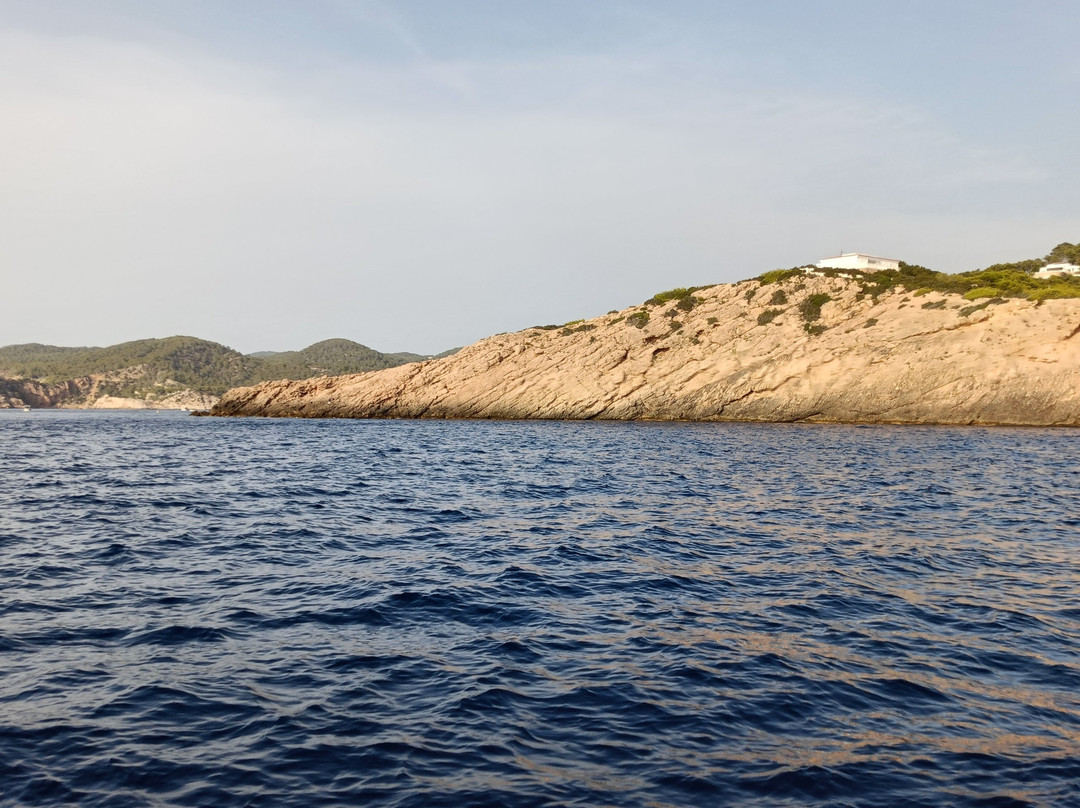 Salvador Ibiza-圣安东尼德波特曼尼必去景点