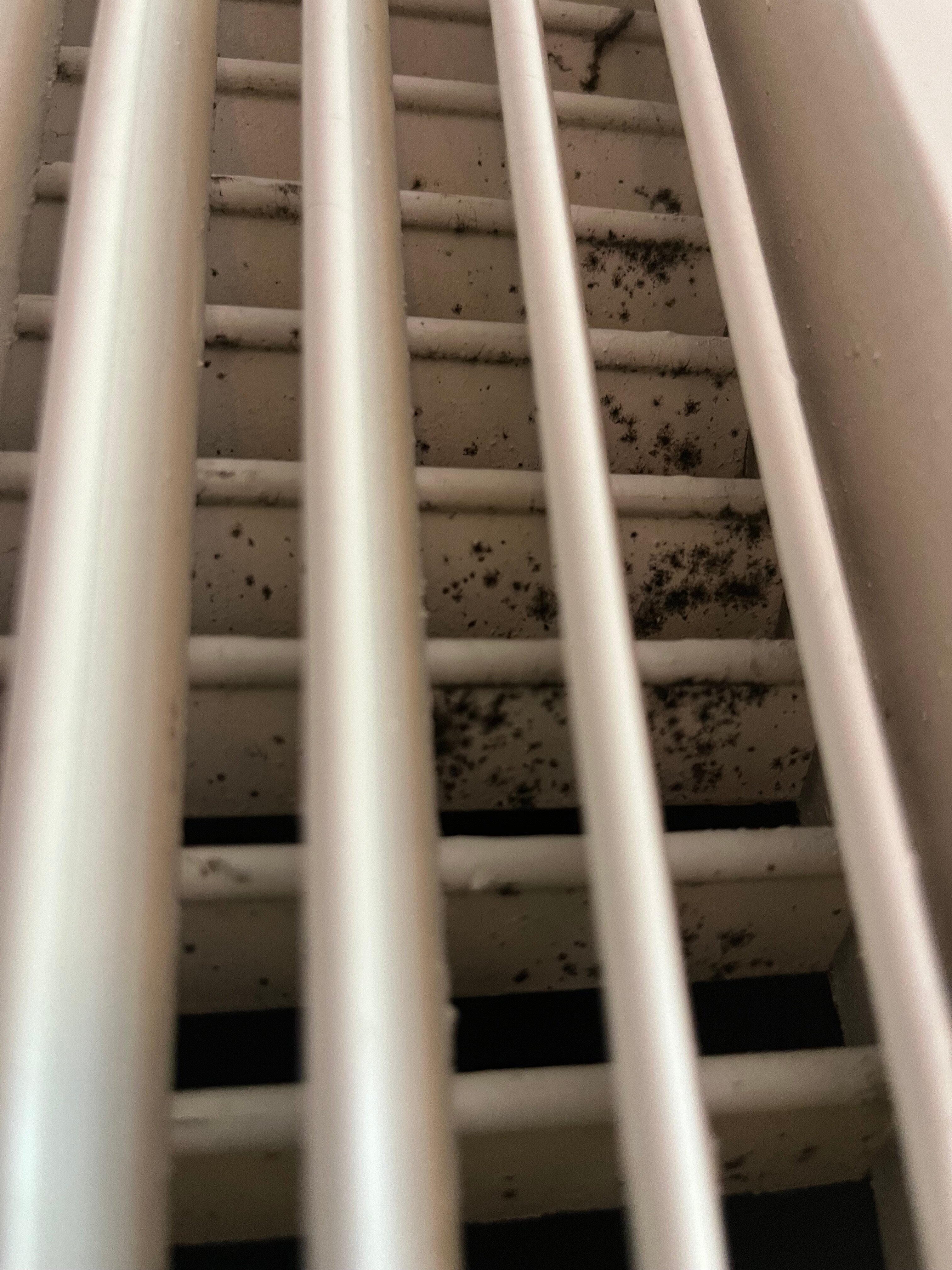 蒂内克格棱波音特万豪酒店-客卧