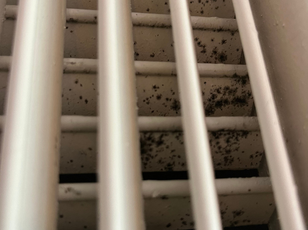 蒂内克格棱波音特万豪酒店主图