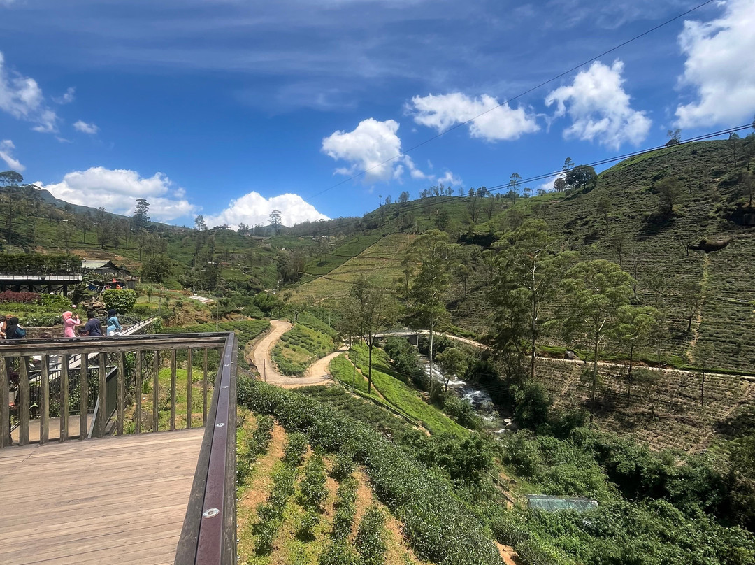 DJ-Divan-奴娃拉伊利雅必去景点