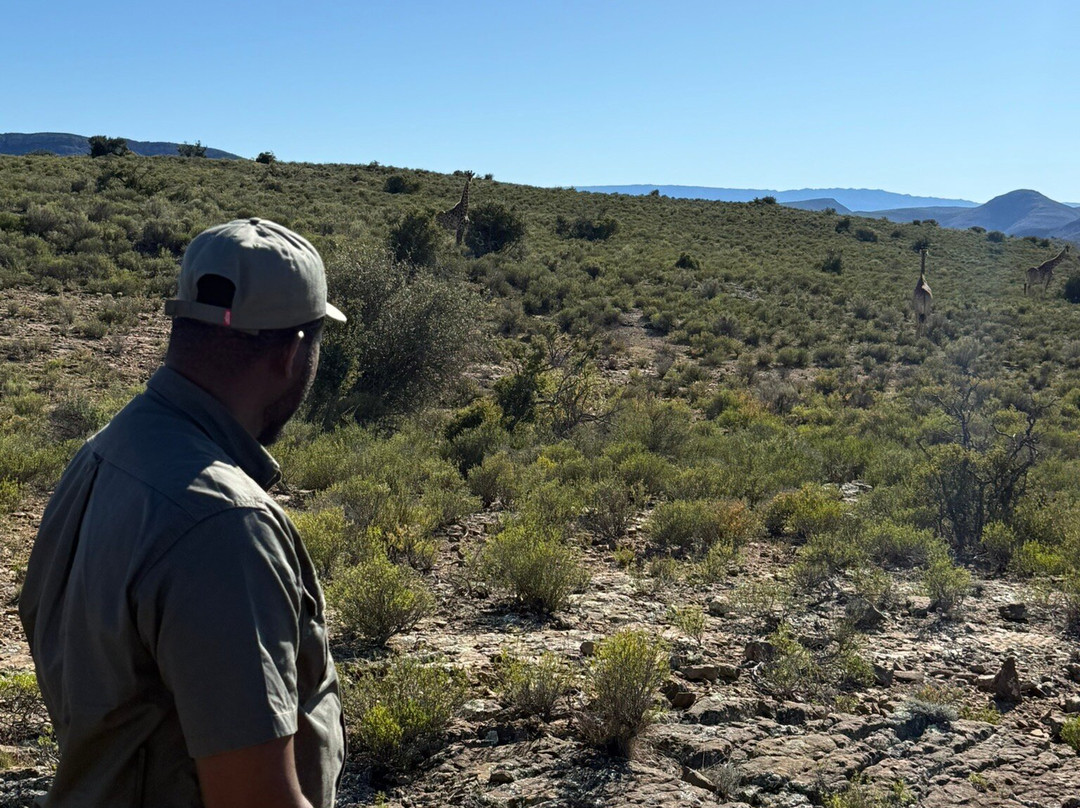 Mont Eco Game Reserve主图