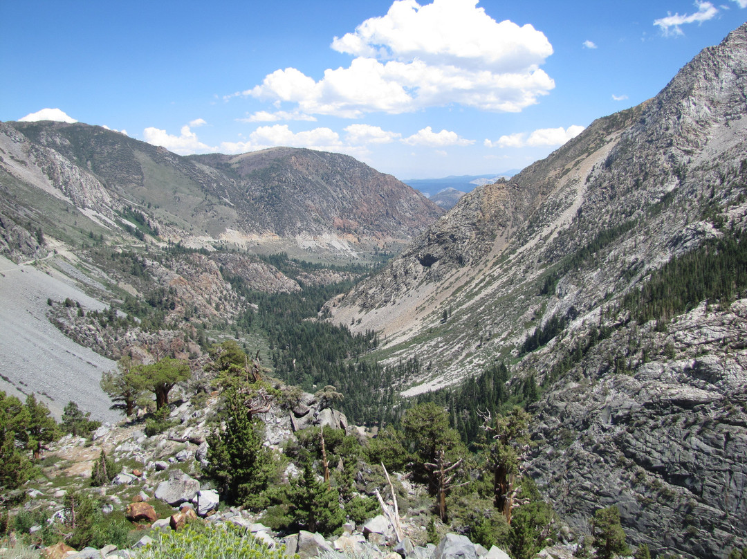 Tioga Road-利韦宁必去景点