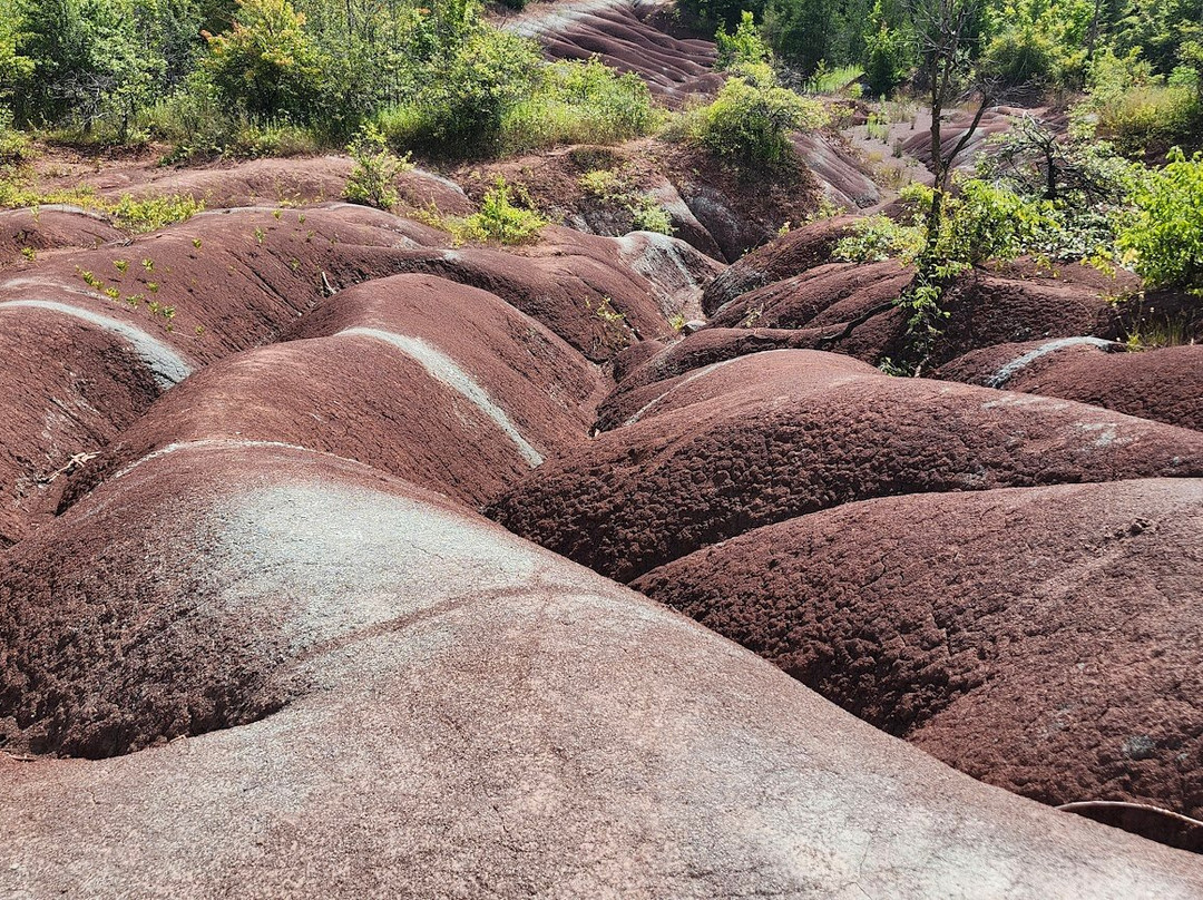Cheltenham Badlands-卡利登必去景点