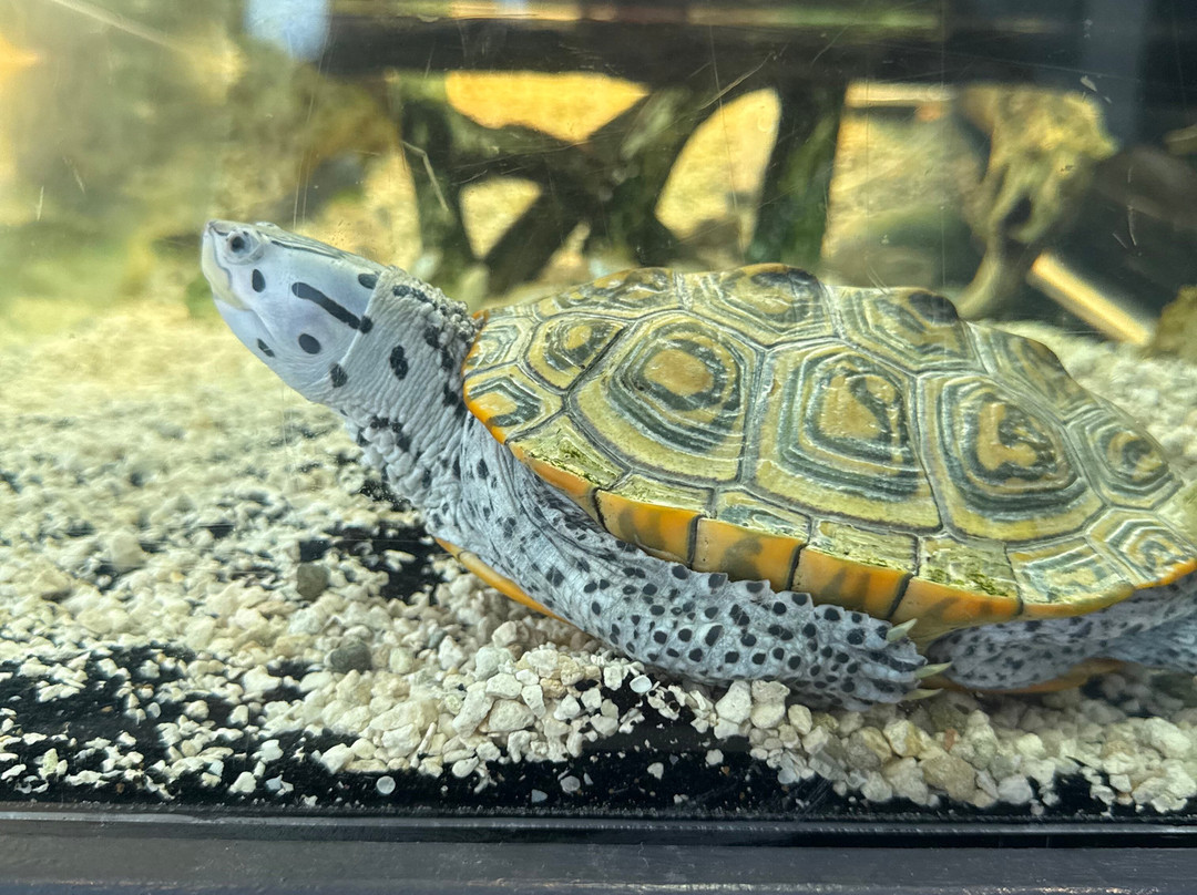 Environmental Learning Center-维罗海滩必去景点