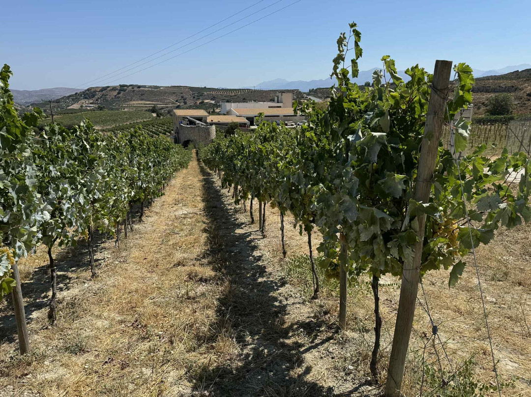 Domaine Paterianakis-伊拉克利翁必去景点