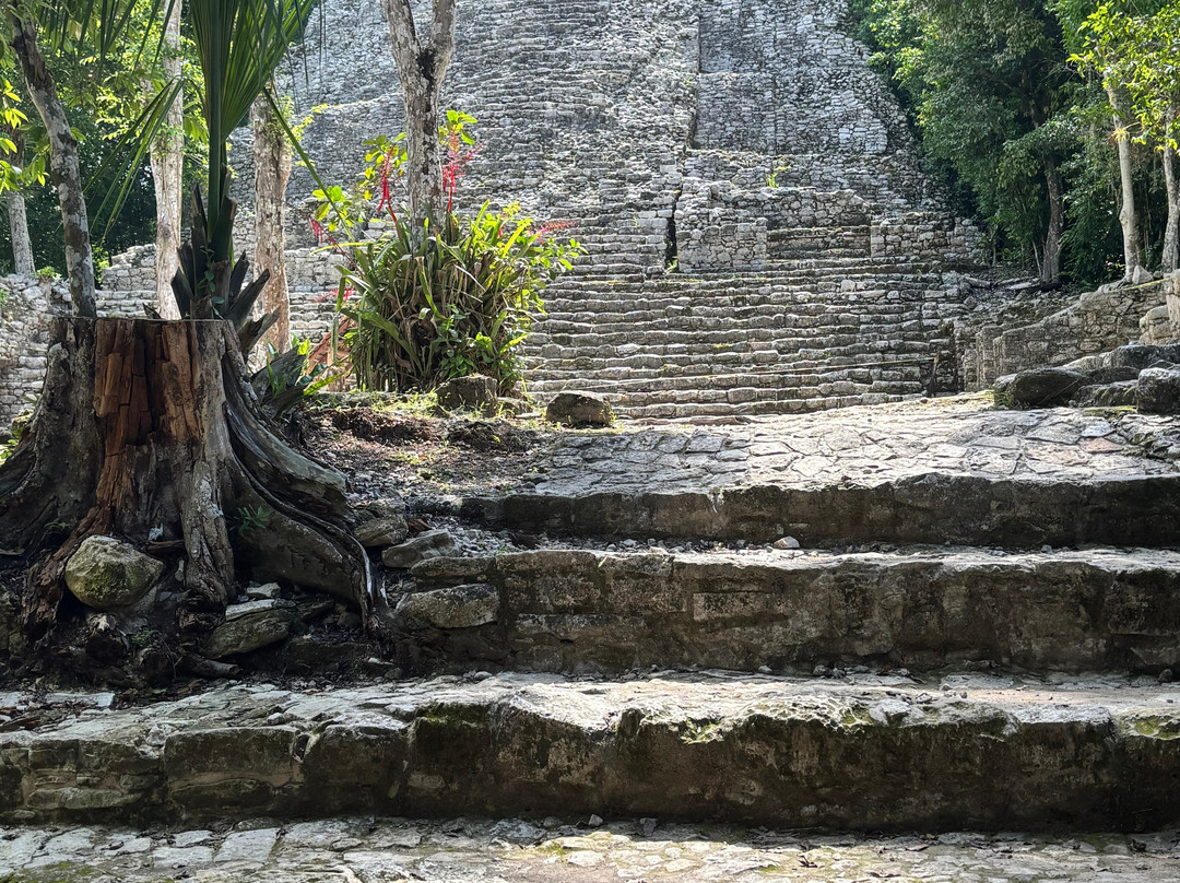 Private Tours Vip-普拉亚德尔卡曼必去景点