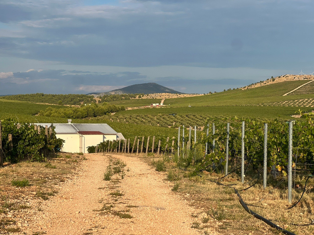 Testament Winery-Jadrtovac必去景点