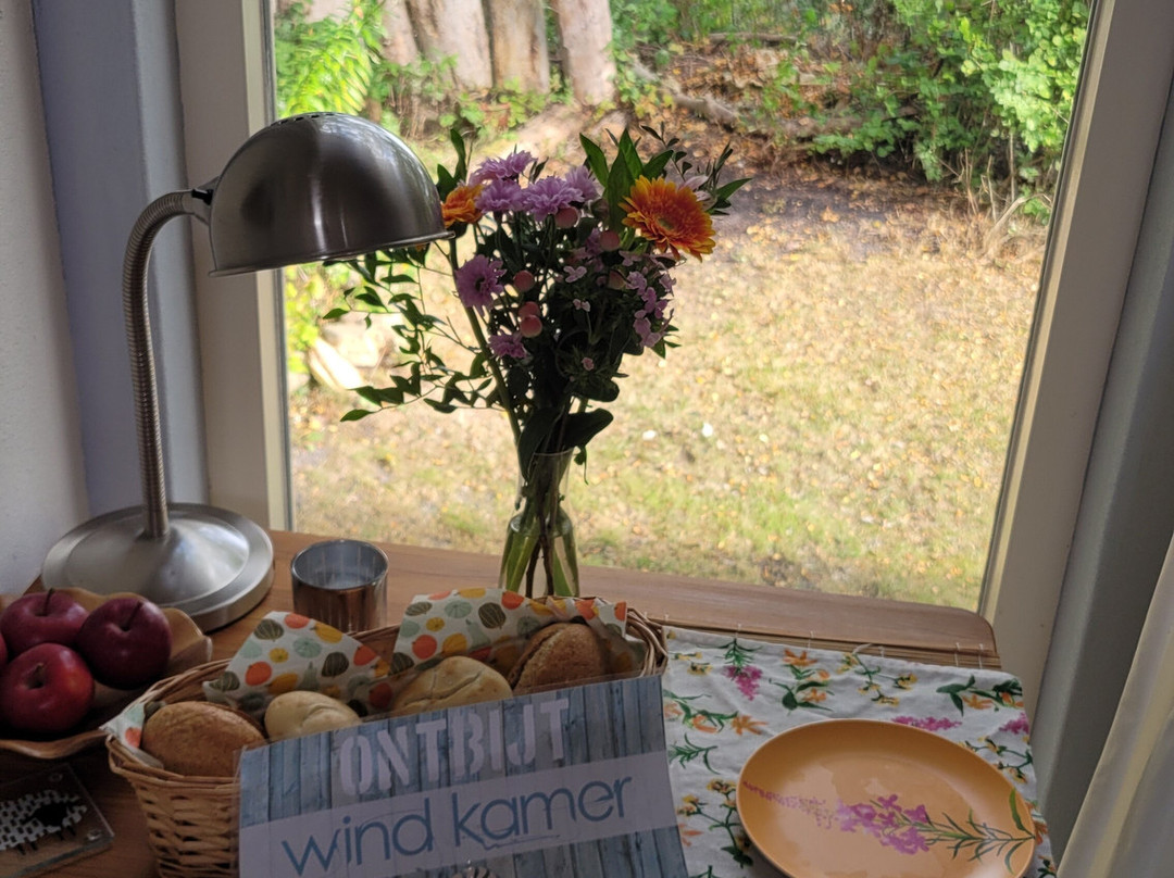 Mare Nostrum Texel主图