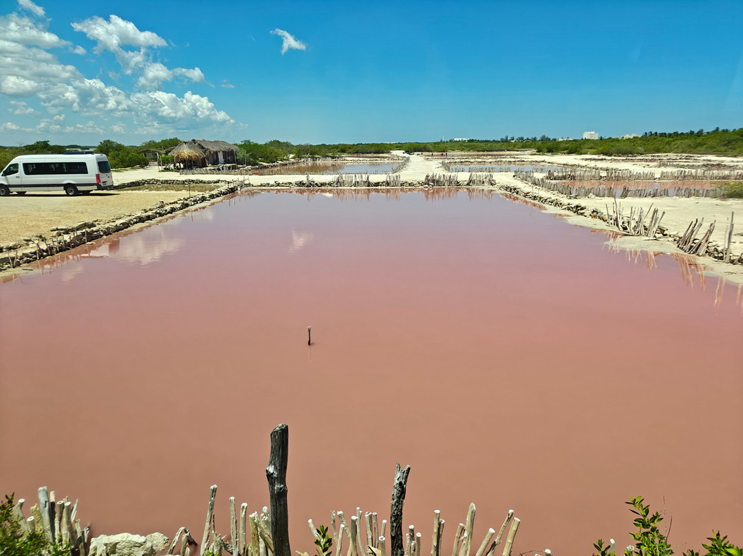 Grupo Auto Progreso-梅里达必去景点