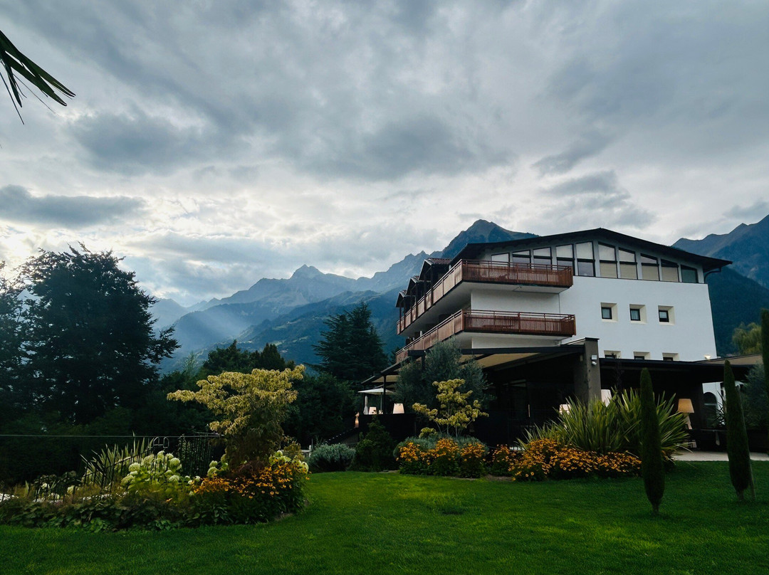 Hotel Traubenheim主图