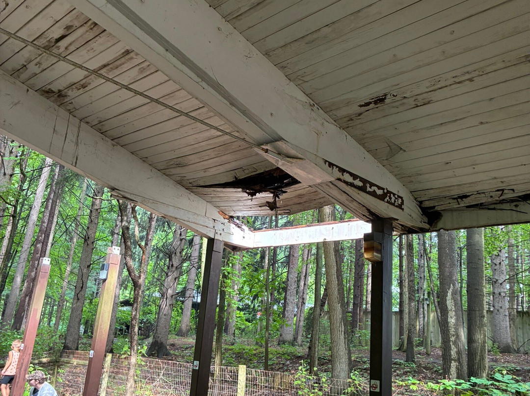 Binder Park Zoo-Battle Creek必去景点