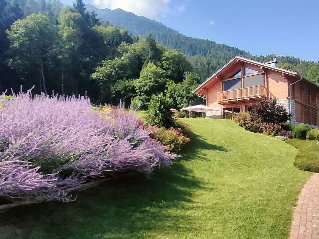 B & B Chalet Plan主图