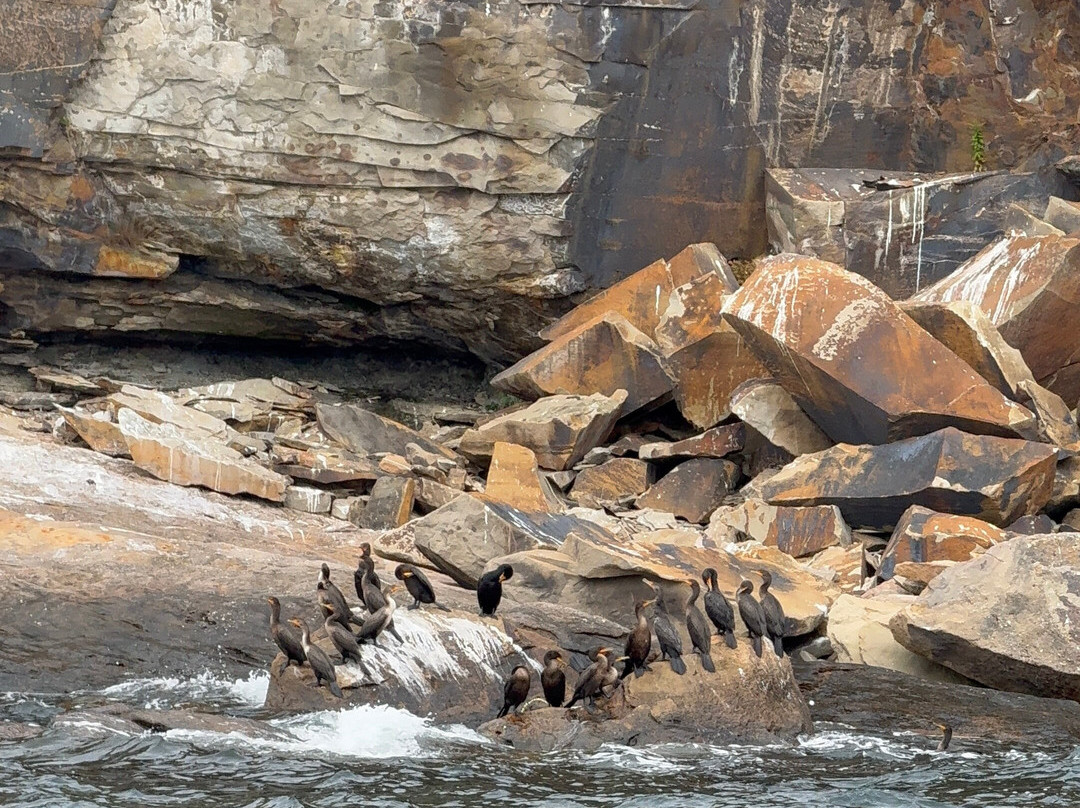 Bird Island Boat Tour-Big Bras d'Or必去景点