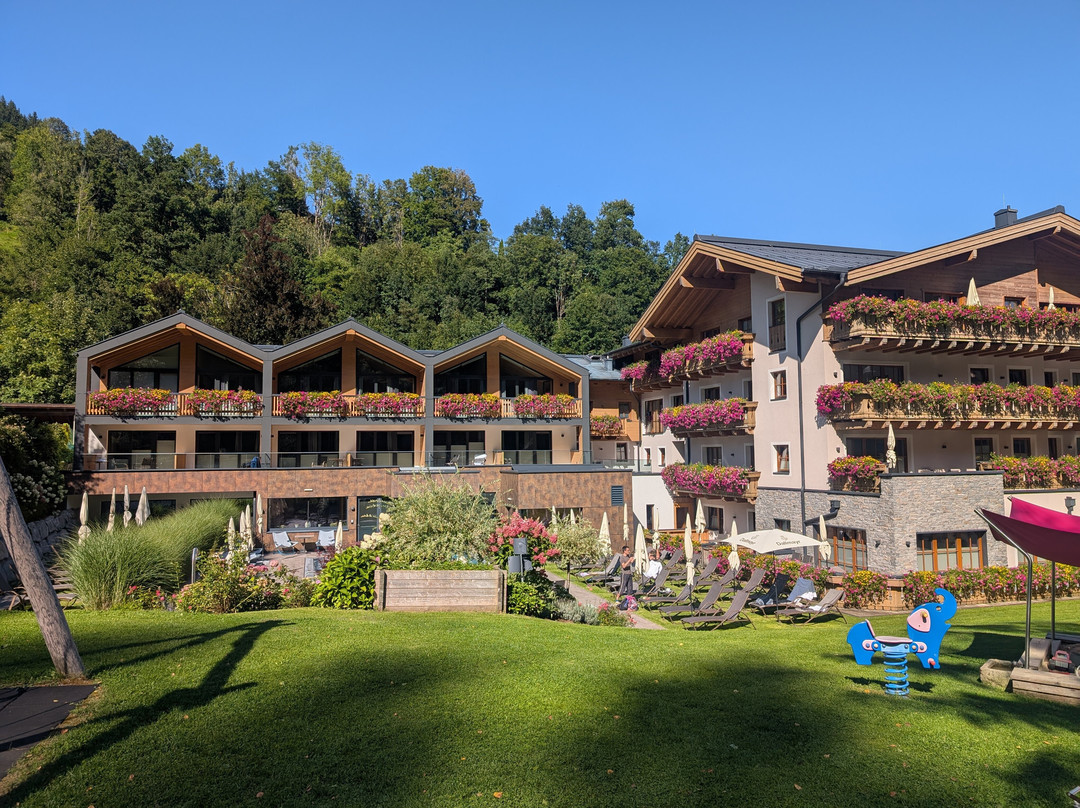 Hotel Stadt Wien主图