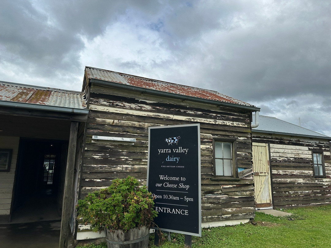 Yarra Valley Dairy-优伶必去景点