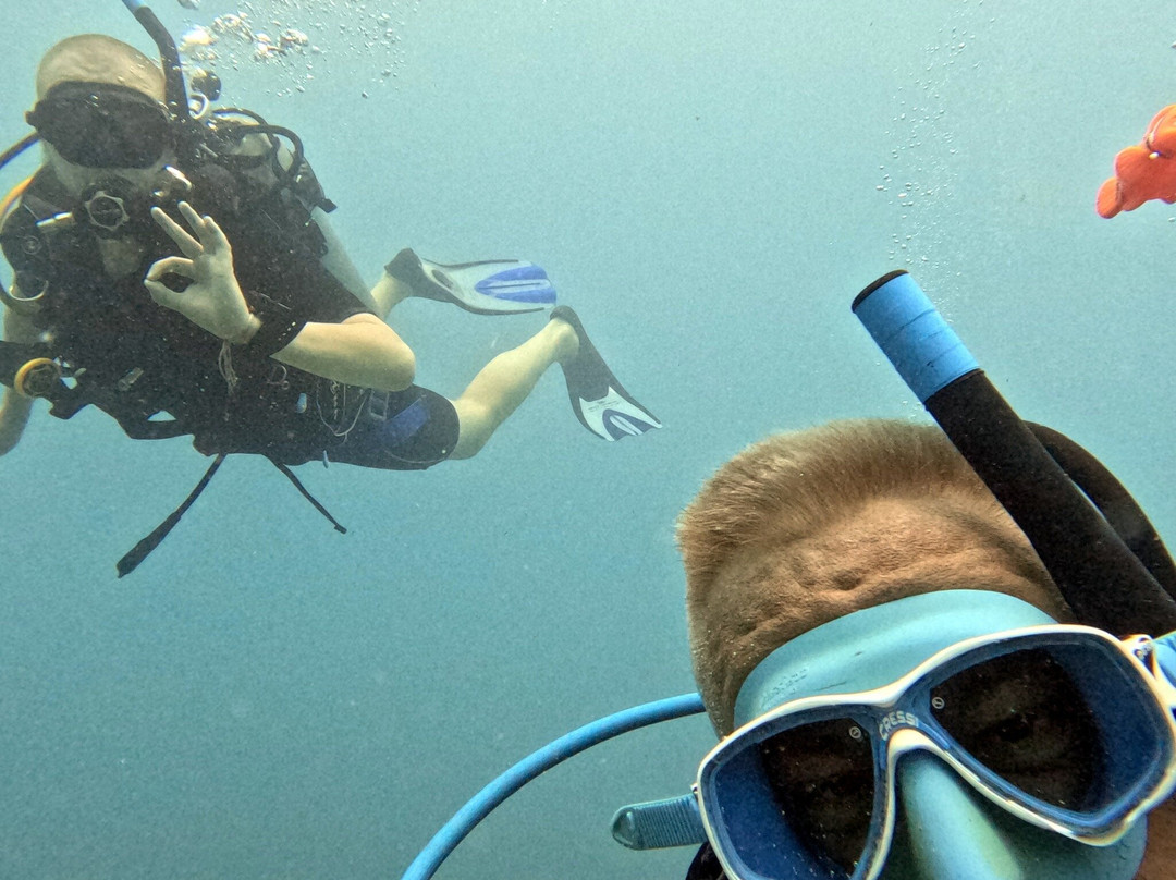 Ultra Marine Divers-蓬塔卡纳必去景点