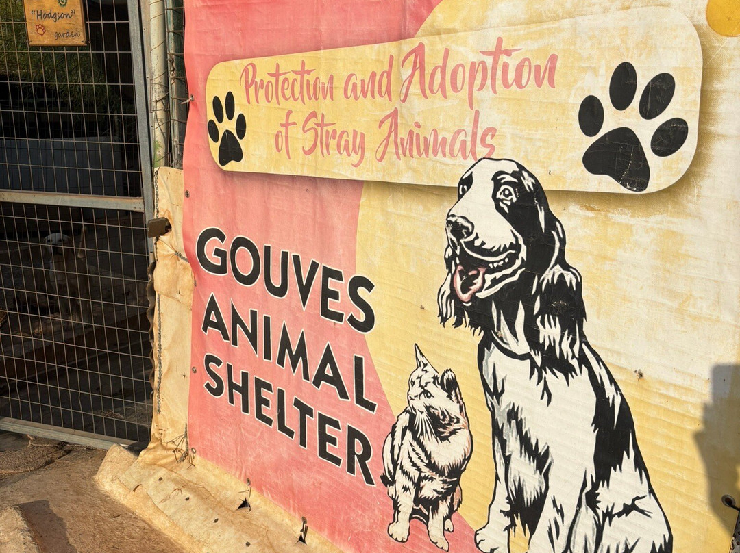 Gouves Animal Shelter-古韦斯必去景点