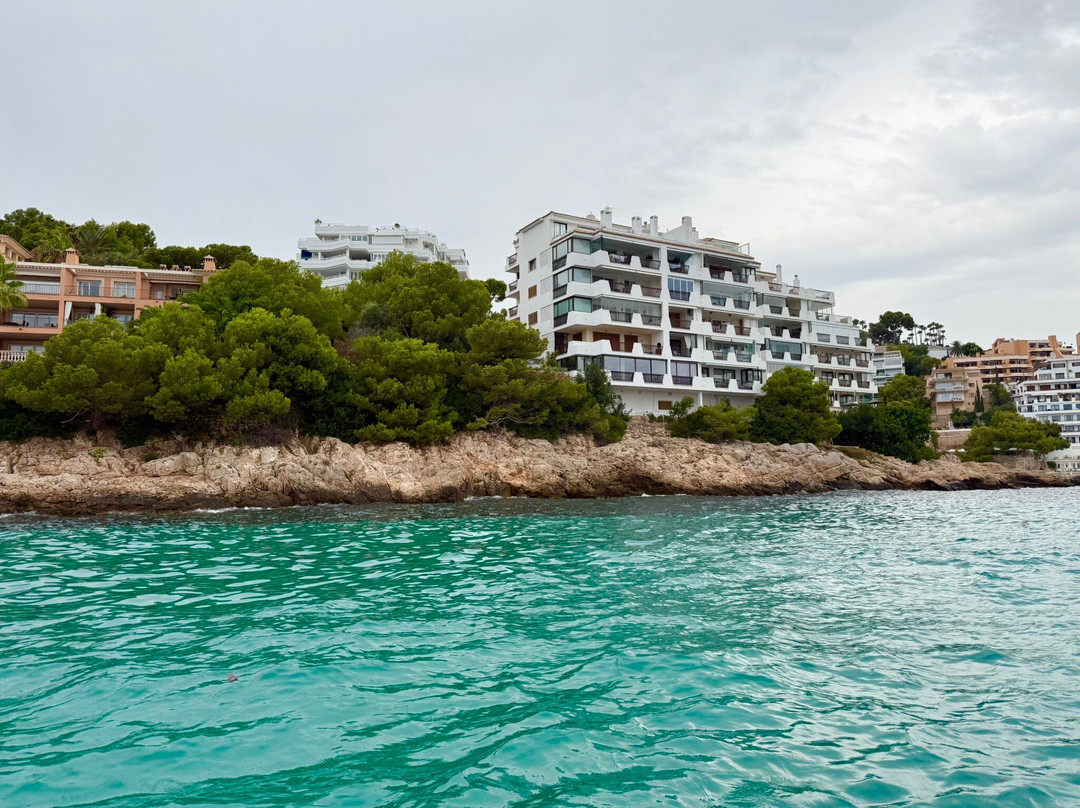 Boat Tours - Vela Mayorca-马洛卡帕尔马必去景点