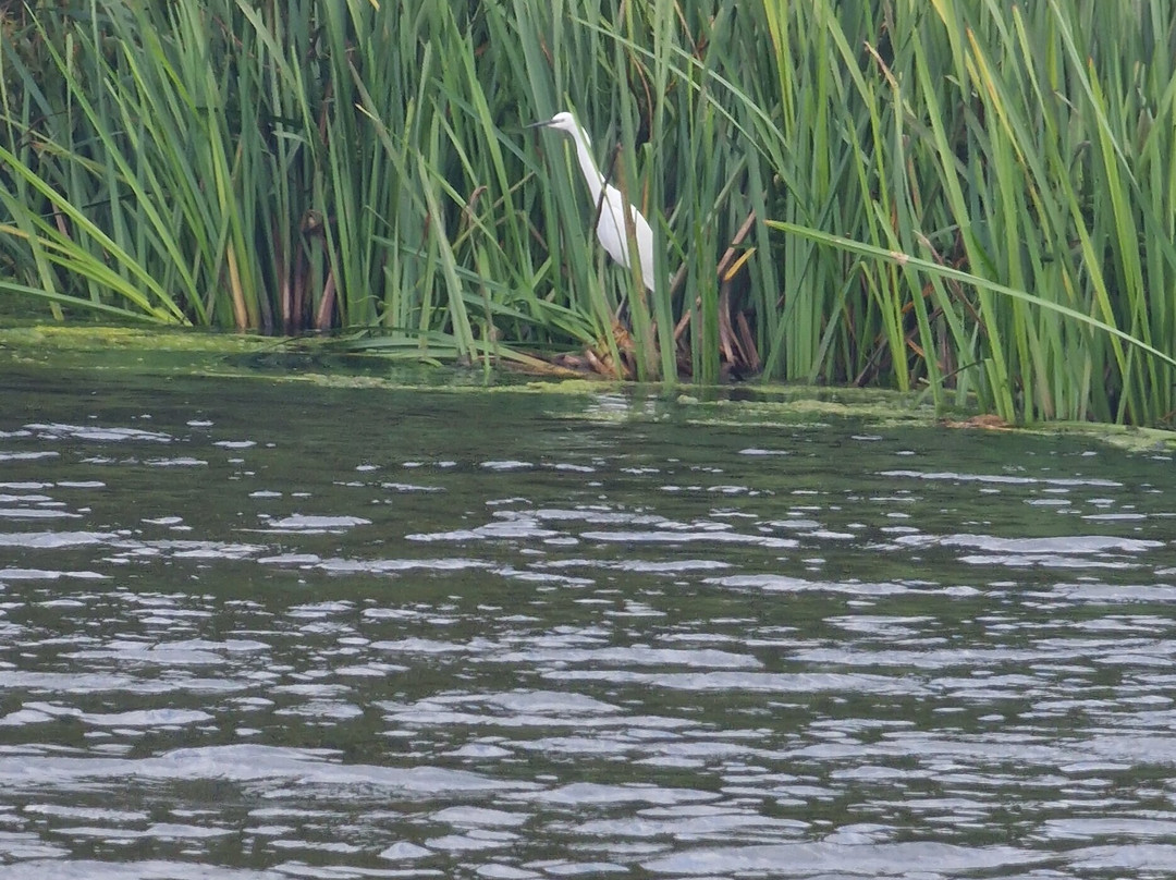 Spalding Water Taxi-Spalding必去景点