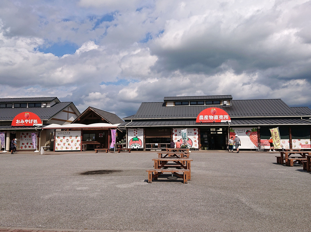 Michi No Eki Nishikata-栃木市必去景点