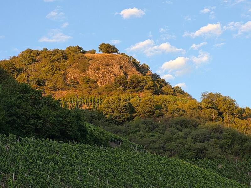 Landhotel Niederthaeler Hof主图