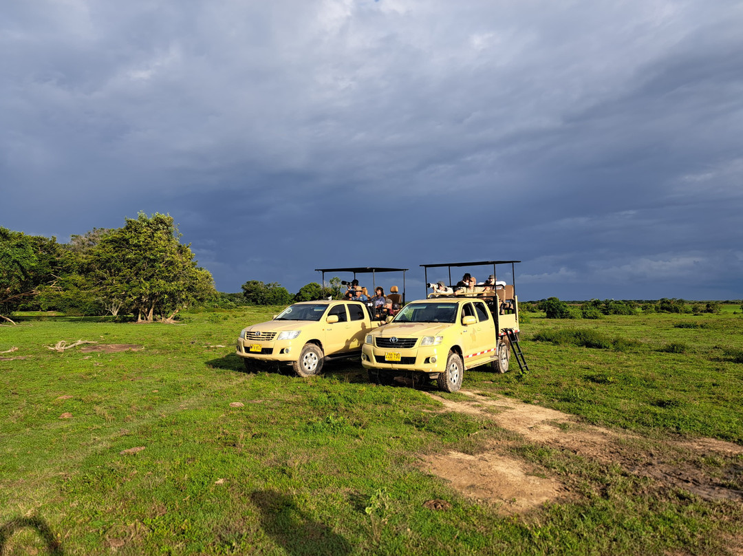 Wild Llanos Tours and Safaris-Yopal必去景点