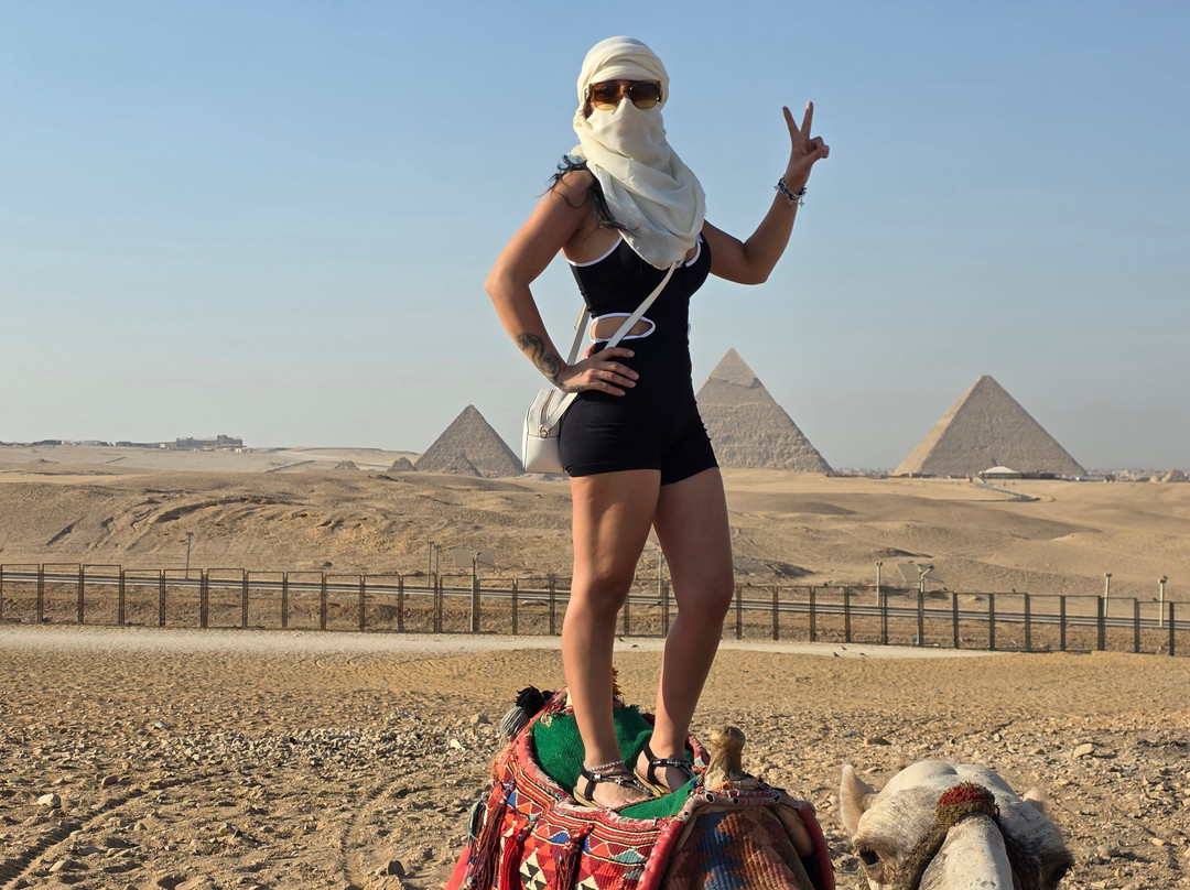 Desert Fox Safari-吉萨必去景点