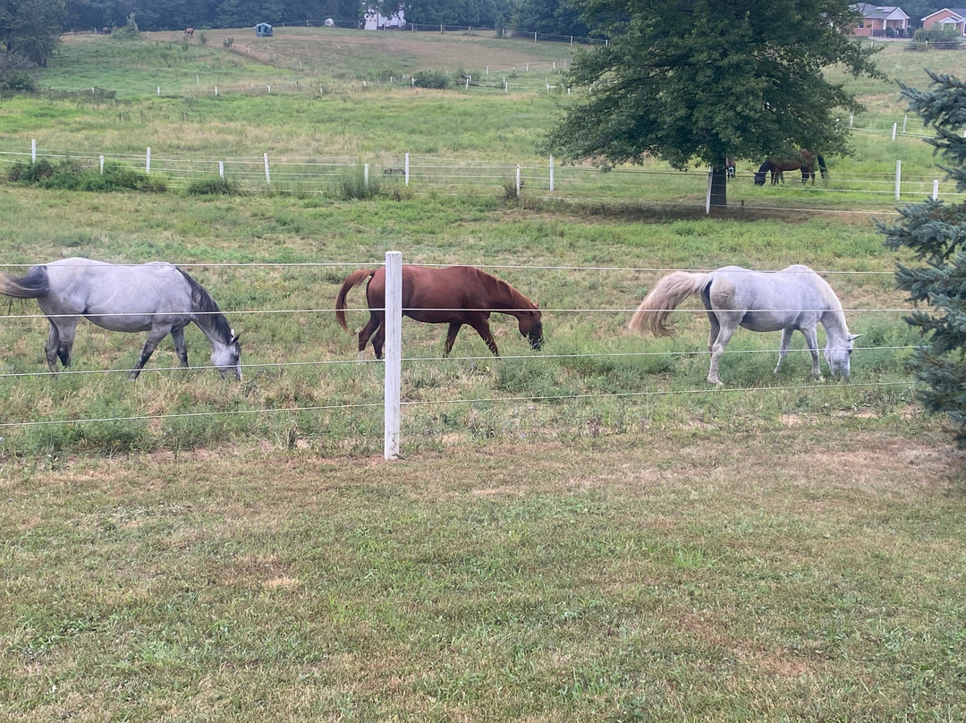 The Inn at Westwynd Farm主图