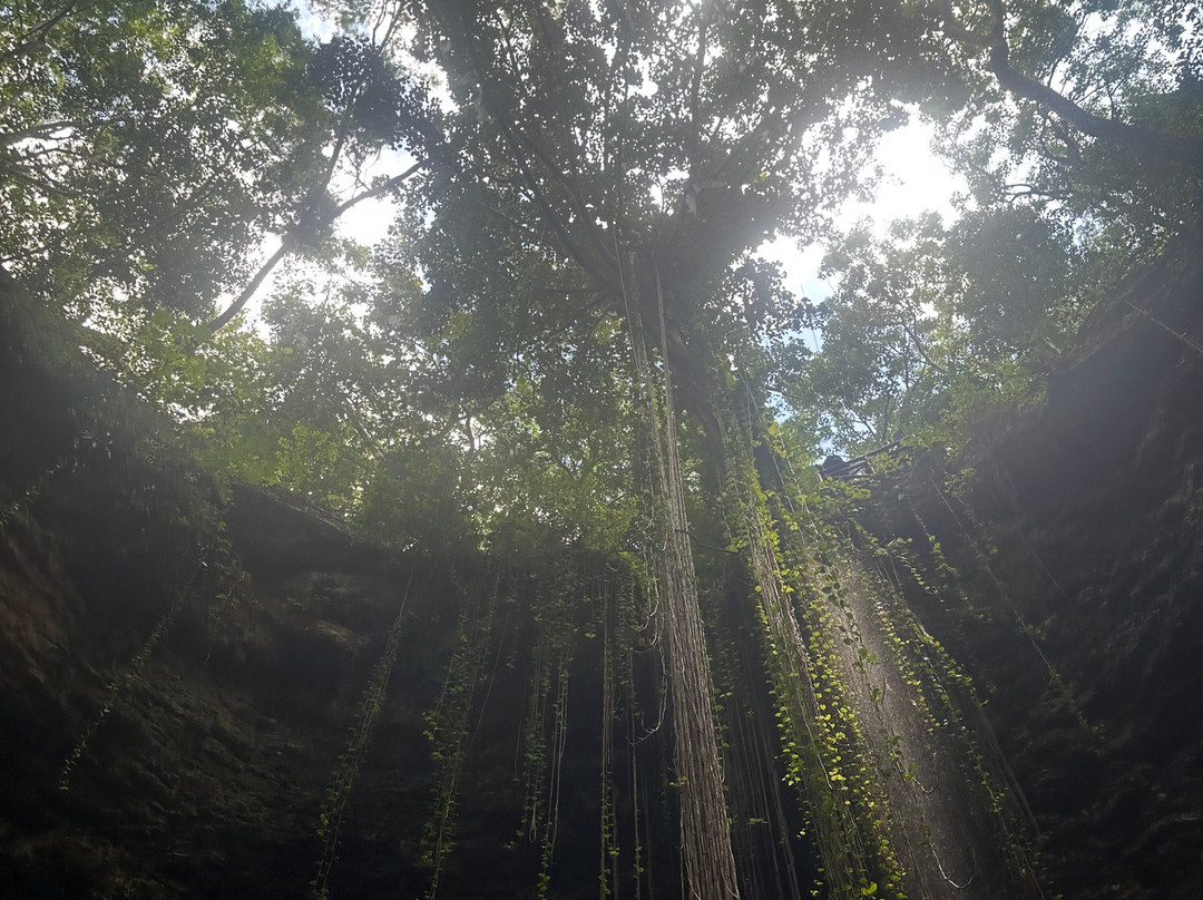 Chichikan-巴利亚多利德必去景点