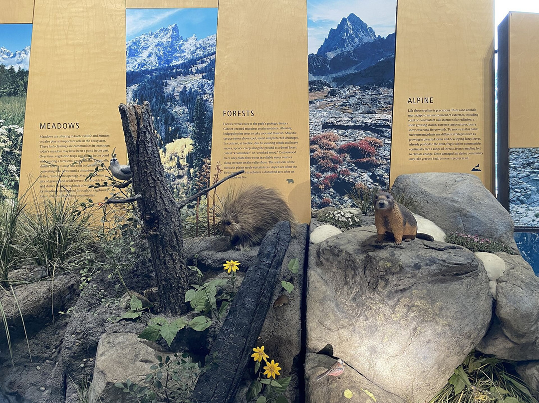 Craig Thomas Discovery & Visitor Center in Moose-大提顿国家公园必去景点