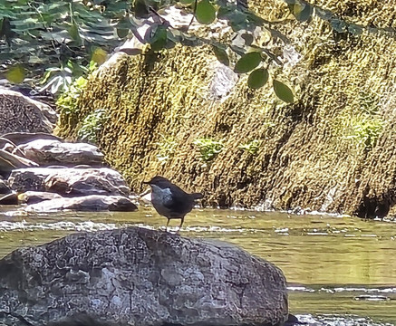 Wonders Of Provence Private Tours-圣雷米必去景点