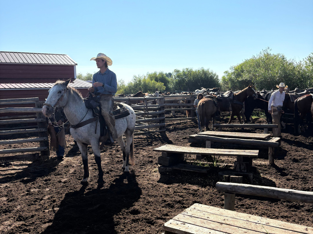 Yellowstone Horses - Eagle Ridge Ranch-艾兰帕克必去景点