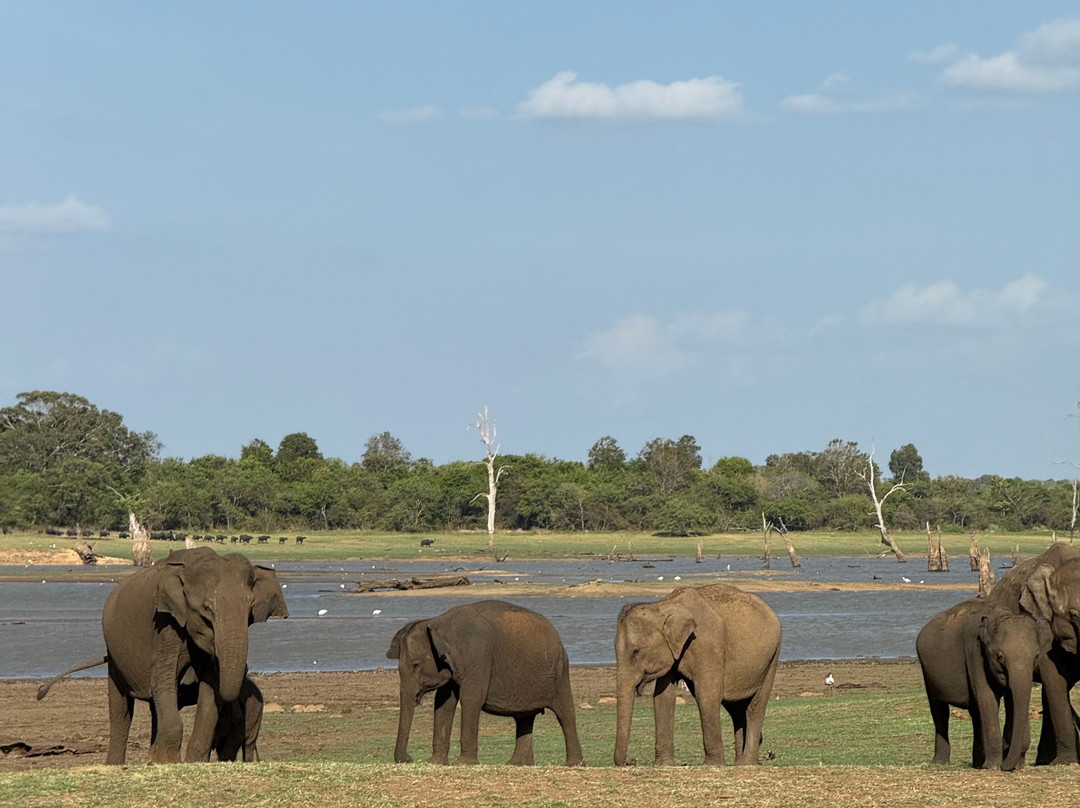 Nature Caves Sri Lanka-科伦坡必去景点